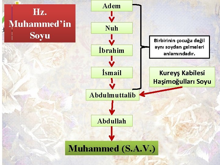 Hz. Muhammed’in Soyu Adem Nuh İbrahim İsmail Birbirinin çocuğu değil aynı soydan gelmeleri anlamındadır.