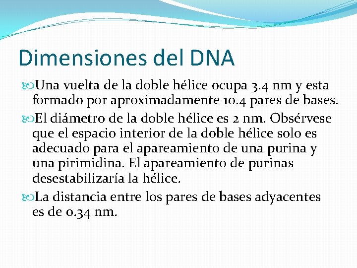 Dimensiones del DNA Una vuelta de la doble hélice ocupa 3. 4 nm y