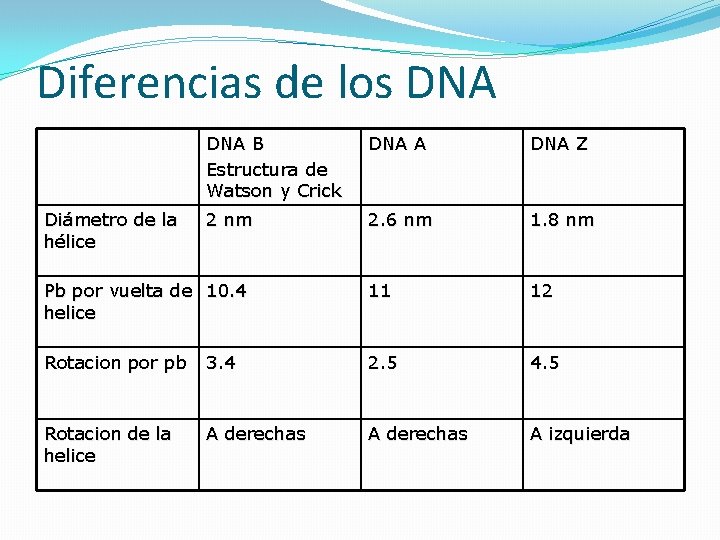 Diferencias de los DNA B Estructura de Watson y Crick DNA A DNA Z