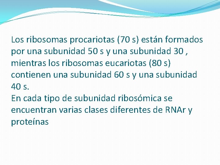 Los ribosomas procariotas (70 s) están formados por una subunidad 50 s y una