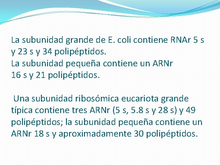 La subunidad grande de E. coli contiene RNAr 5 s y 23 s y