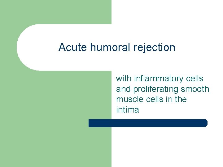 Acute humoral rejection with inflammatory cells and proliferating smooth muscle cells in the intima Acute humoral rejection with inflammatory cells and proliferating smooth muscle cells in the intima