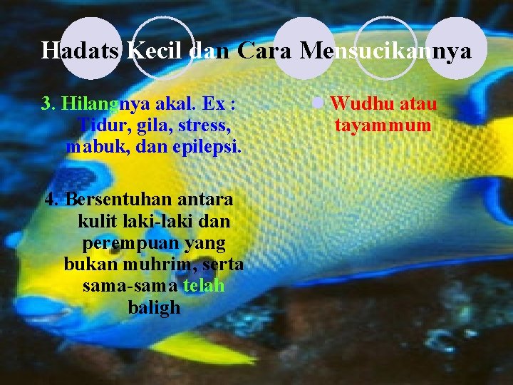 Hadats Kecil dan Cara Mensucikannya 3. Hilangnya akal. Ex : Tidur, gila, stress, mabuk,