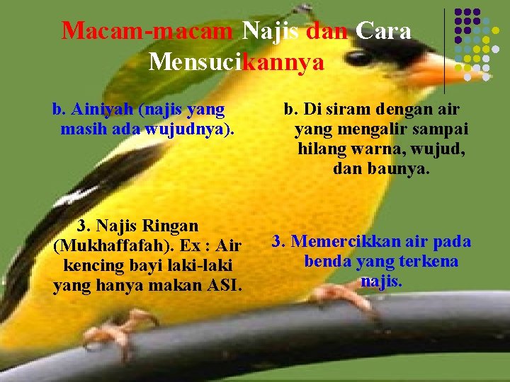 Macam-macam Najis dan Cara Mensucikannya b. Ainiyah (najis yang masih ada wujudnya). 3. Najis