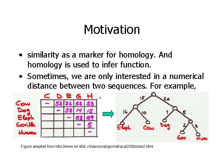 Motivation • similarity as a marker for homology. And homology is used to infer