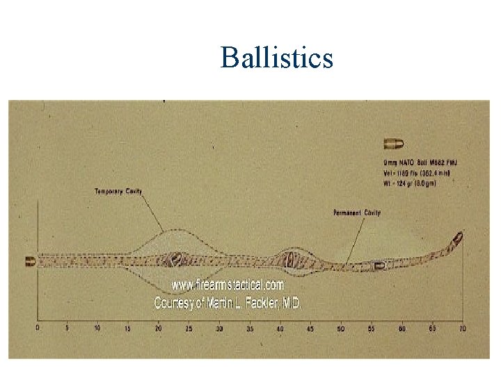 Ballistics 