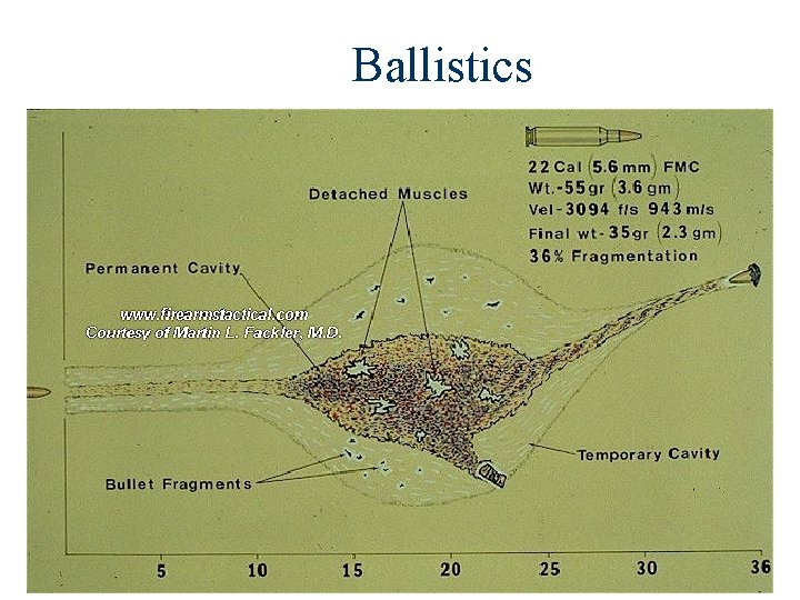 Ballistics 