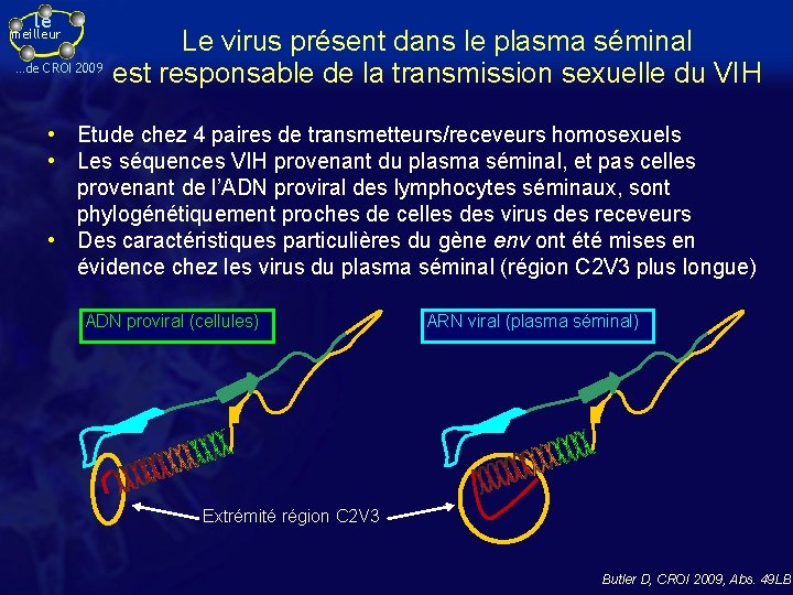 le meilleur …de CROI 2009 Le virus présent dans le plasma séminal est responsable