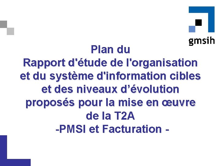 Plan du Rapport d'étude de l'organisation et du système d'information cibles et des niveaux