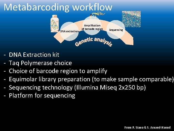 Metabarcoding workflow DNA extraction - Amplification of barcode region Sequencing DNA Extraction kit Taq