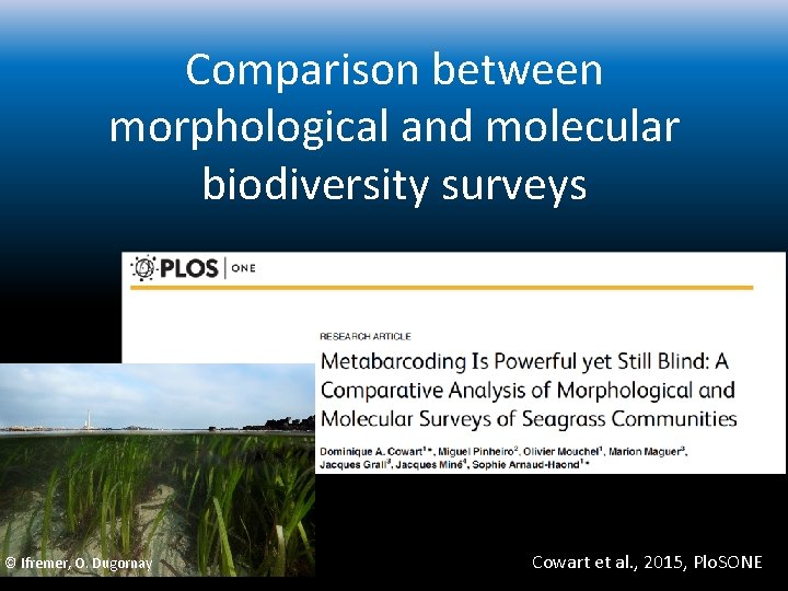 Comparison between morphological and molecular biodiversity surveys © Ifremer, O. Dugornay Cowart et al.
