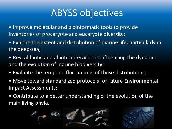 ABYSS objectives • Improve molecular and bioinformatic tools to provide inventories of procaryote and