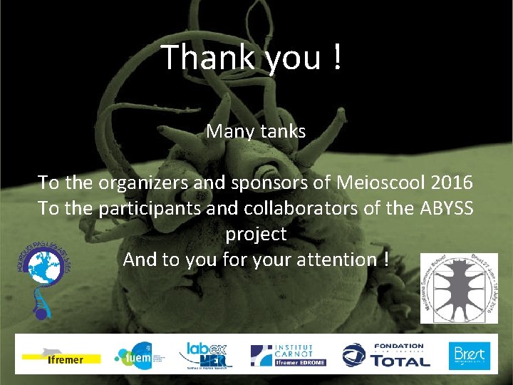 Thank you ! Many tanks To the organizers and sponsors of Meioscool 2016 To
