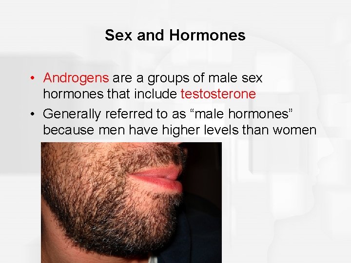Sex and Hormones • Androgens are a groups of male sex hormones that include