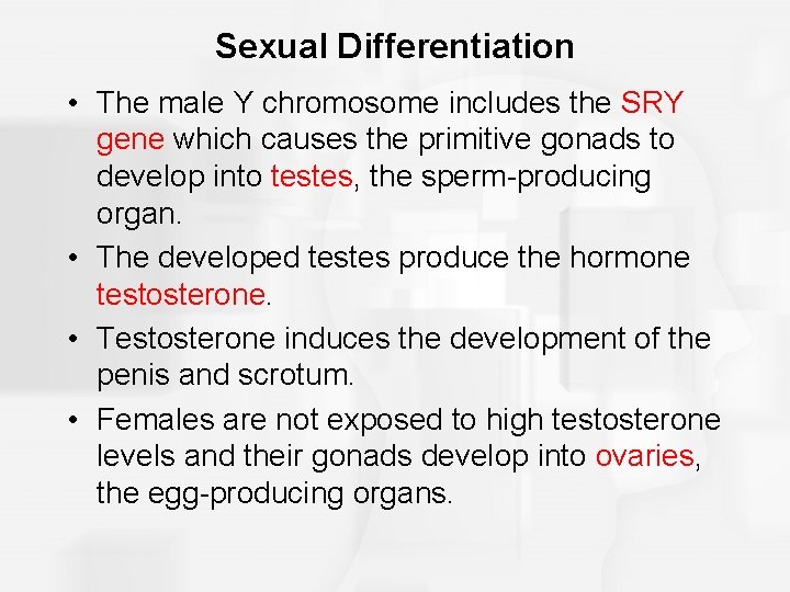 Sexual Differentiation • The male Y chromosome includes the SRY gene which causes the