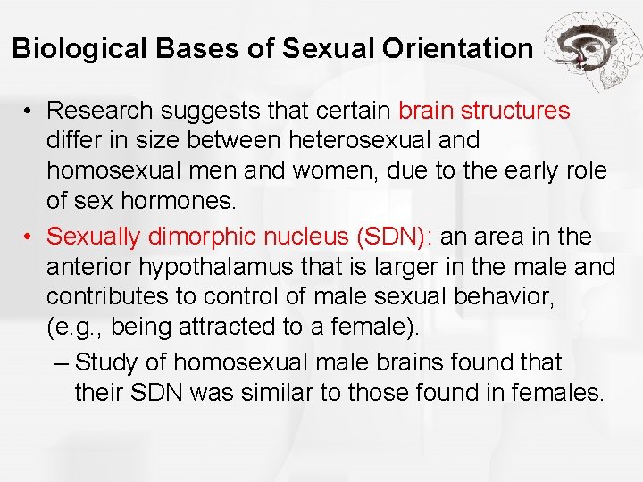 Biological Bases of Sexual Orientation • Research suggests that certain brain structures differ in