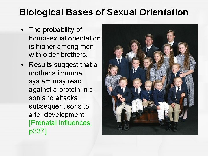 Biological Bases of Sexual Orientation • The probability of homosexual orientation is higher among