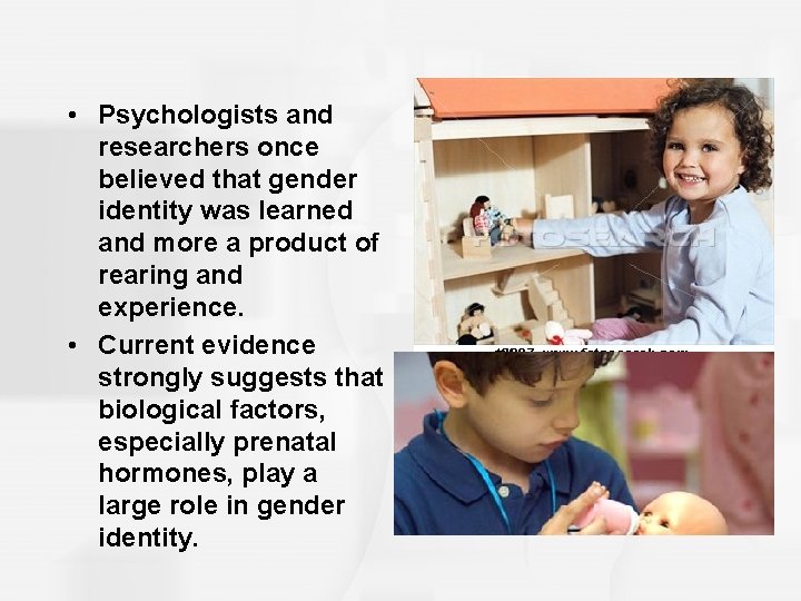  • Psychologists and researchers once believed that gender identity was learned and more