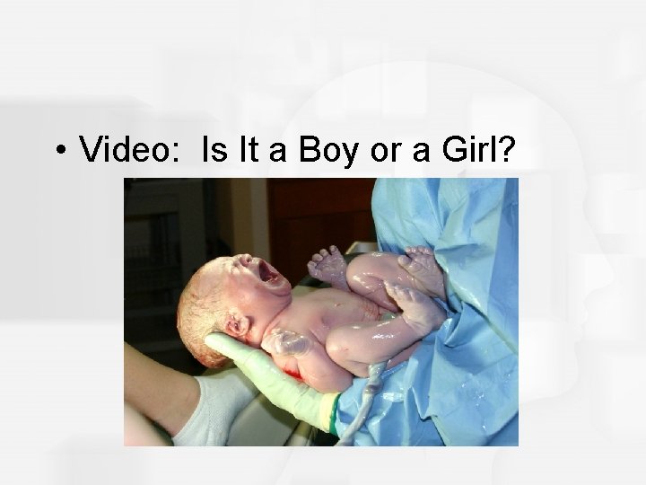  • Video: Is It a Boy or a Girl? 