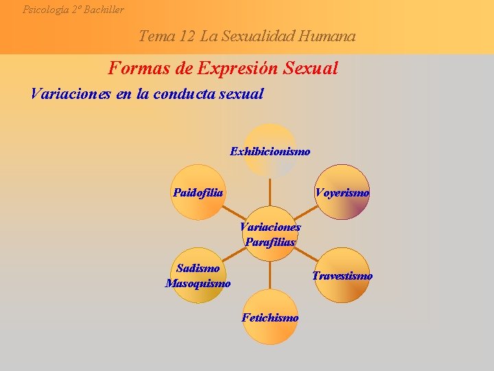 Psicologa 2 Bachiller Tema 12 La Sexualidad Humana