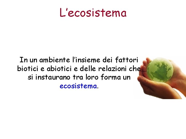 L’ecosistema In un ambiente l’insieme dei fattori biotici e abiotici e delle relazioni che