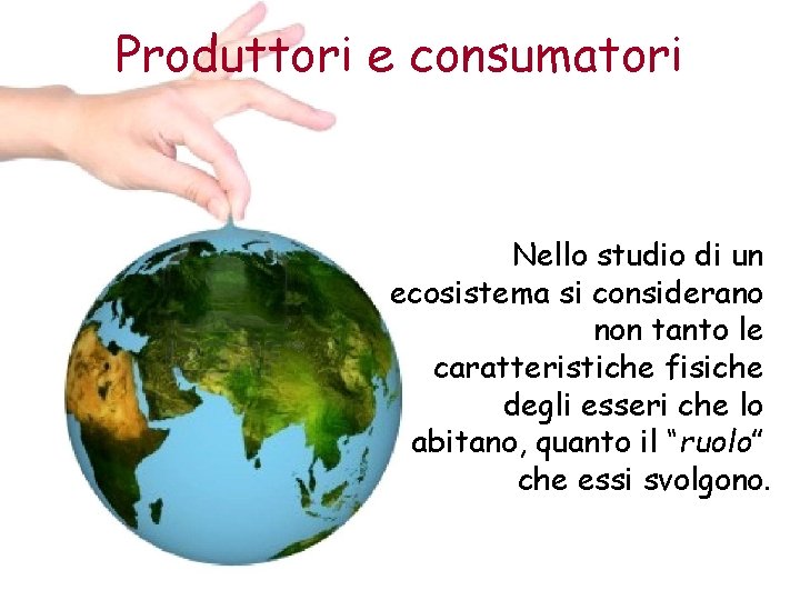 Produttori e consumatori Nello studio di un ecosistema si considerano non tanto le caratteristiche