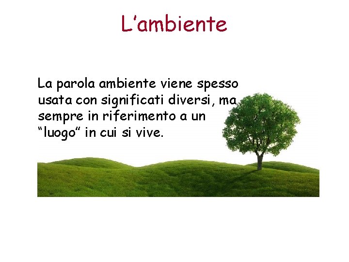 L’ambiente La parola ambiente viene spesso usata con significati diversi, ma sempre in riferimento