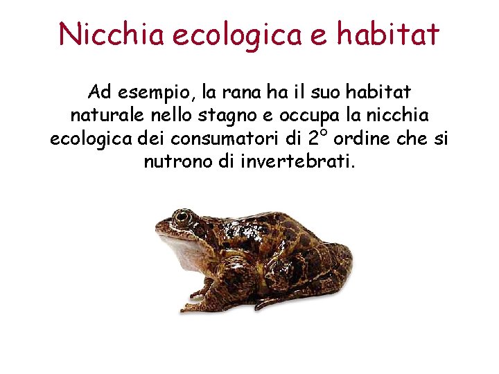 Nicchia ecologica e habitat Ad esempio, la rana ha il suo habitat naturale nello