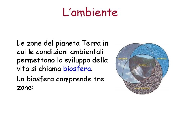 L’ambiente Le zone del pianeta Terra in cui le condizioni ambientali permettono lo sviluppo