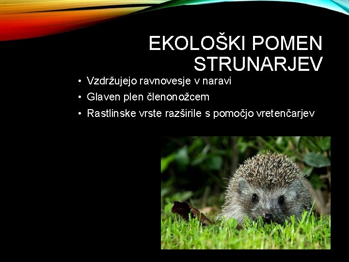 EKOLOŠKI POMEN STRUNARJEV • Vzdržujejo ravnovesje v naravi • Glaven plen členonožcem • Rastlinske