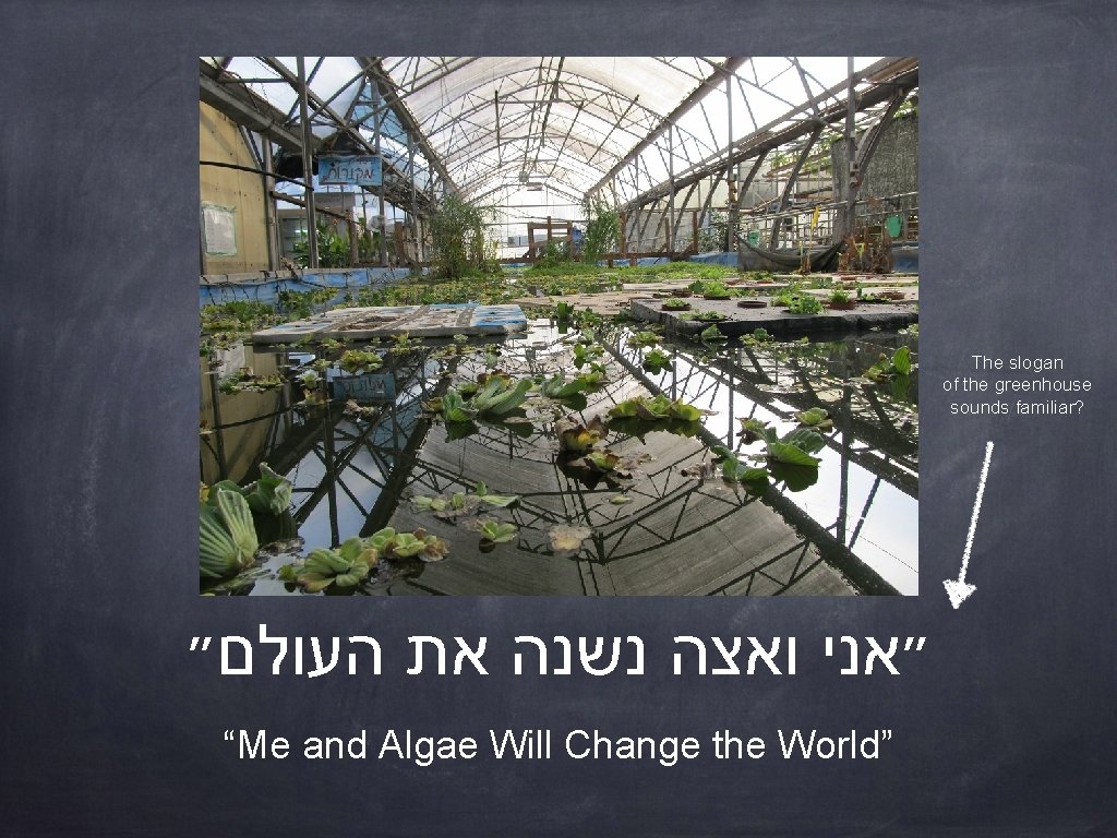 The slogan of the greenhouse sounds familiar? ״אני ואצה נשנה את העולם״ “Me and