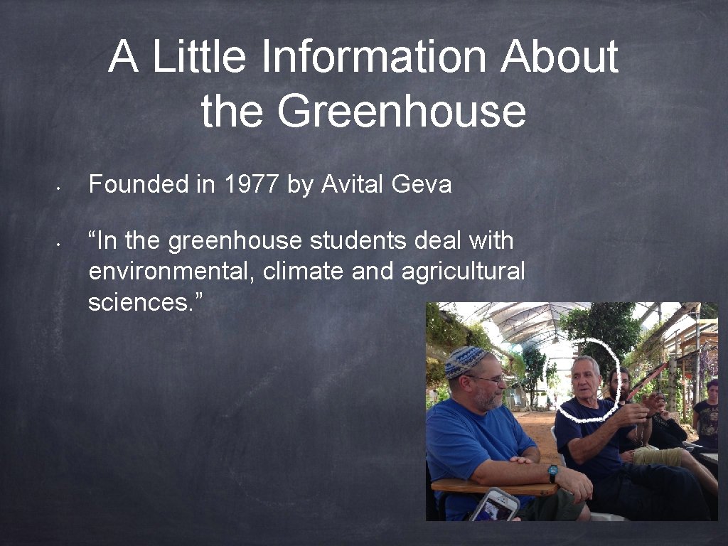 A Little Information About the Greenhouse • • Founded in 1977 by Avital Geva