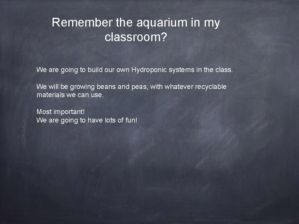 Remember the aquarium in my classroom? We are going to build our own Hydroponic