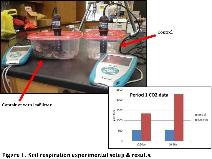 Control Container with leaf litter Figure 1. Soil respiration experimental setup & results. 