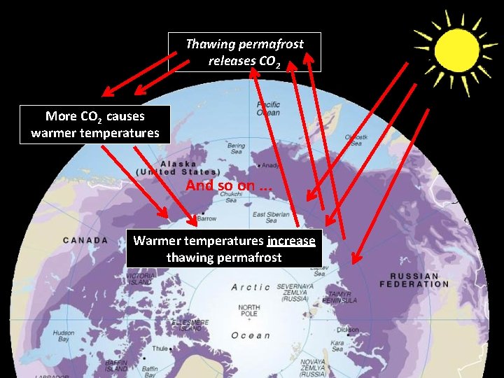 Thawing permafrost releases CO 2 More CO 2 causes warmer temperatures And so on.