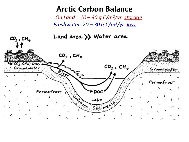 Arctic Carbon Balance On Land: 10 – 30 g C/m 2/yr storage Freshwater: 20