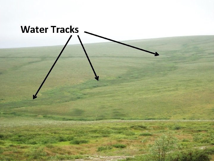 Water Tracks 