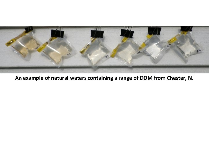 An example of natural waters containing a range of DOM from Chester, NJ 