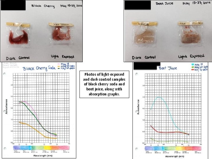 Photos of light-exposed and dark control samples of black cherry soda and beet juice,