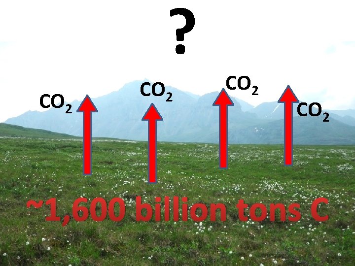 ? CO 2 ~1, 600 billion tons C 
