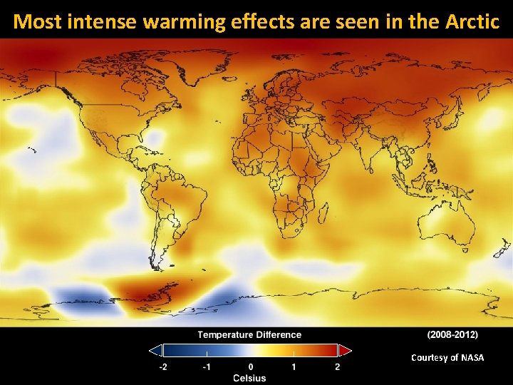 Most intense warming effects are seen in the Arctic Courtesy of NASA 