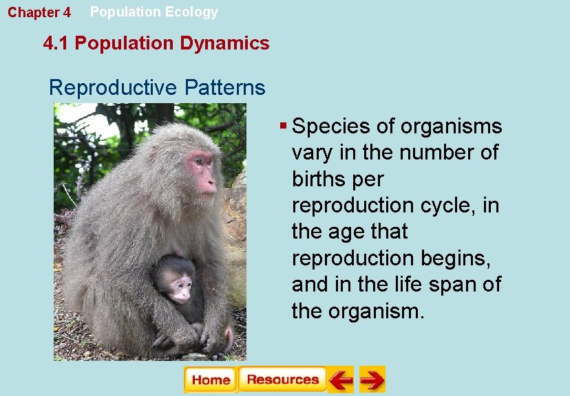 Chapter 4 Population Ecology 4. 1 Population Dynamics Reproductive Patterns § Species of organisms