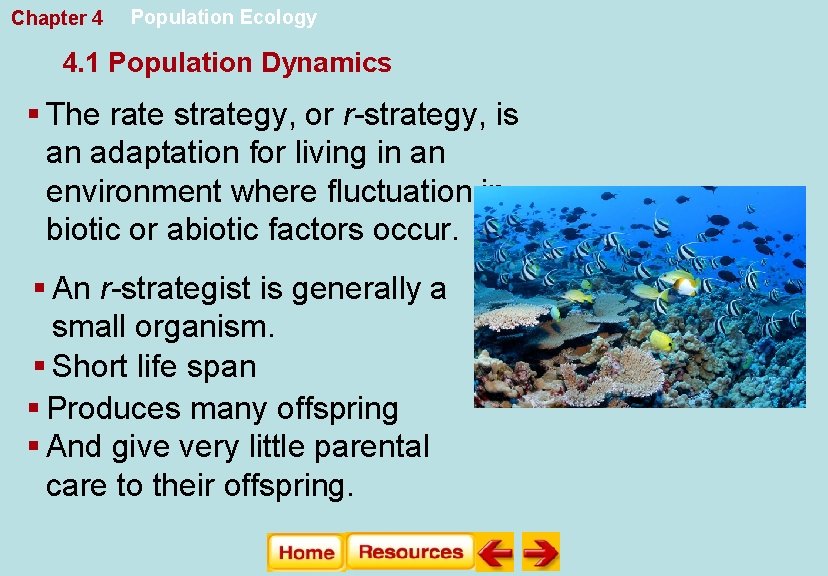 Chapter 4 Population Ecology 4. 1 Population Dynamics § The rate strategy, or r-strategy,