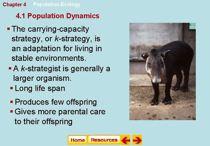 Chapter 4 Population Ecology 4. 1 Population Dynamics § The carrying-capacity strategy, or k-strategy,