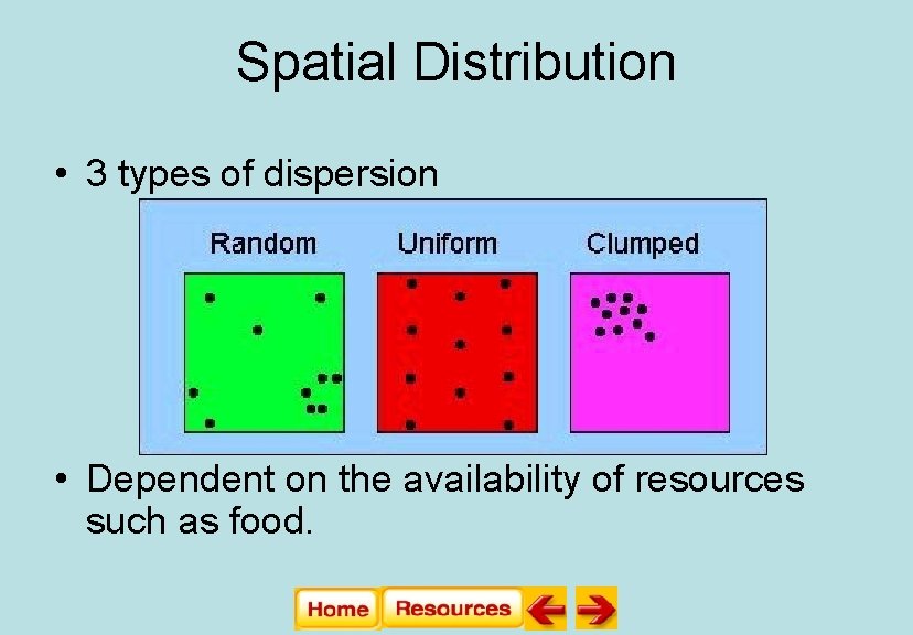 Spatial Distribution • 3 types of dispersion • Dependent on the availability of resources