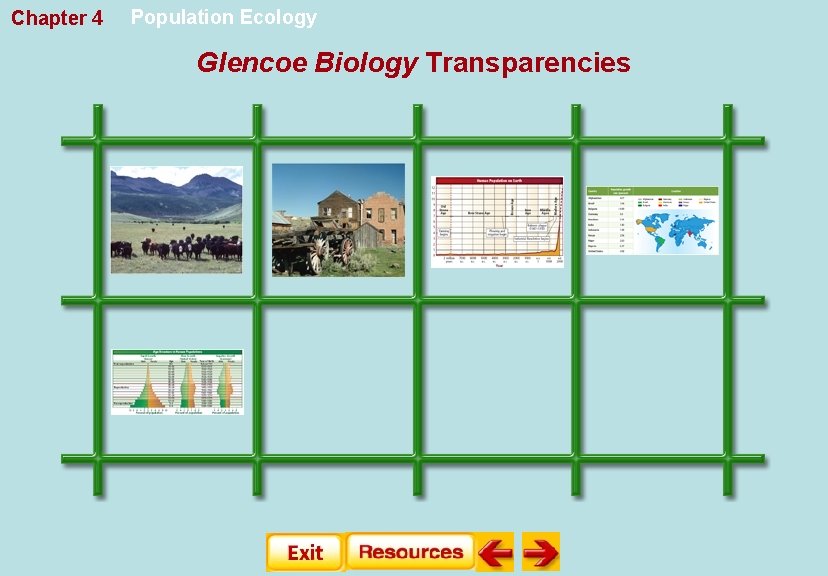 Chapter 4 Population Ecology Glencoe Biology Transparencies 