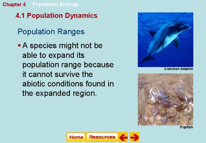 Chapter 4 Population Ecology 4. 1 Population Dynamics Population Ranges § A species might