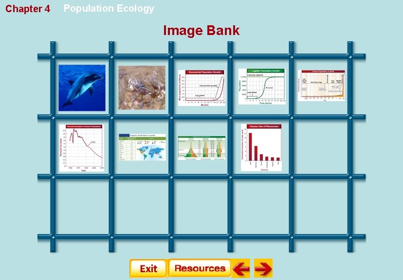 Chapter 4 Population Ecology Image Bank 