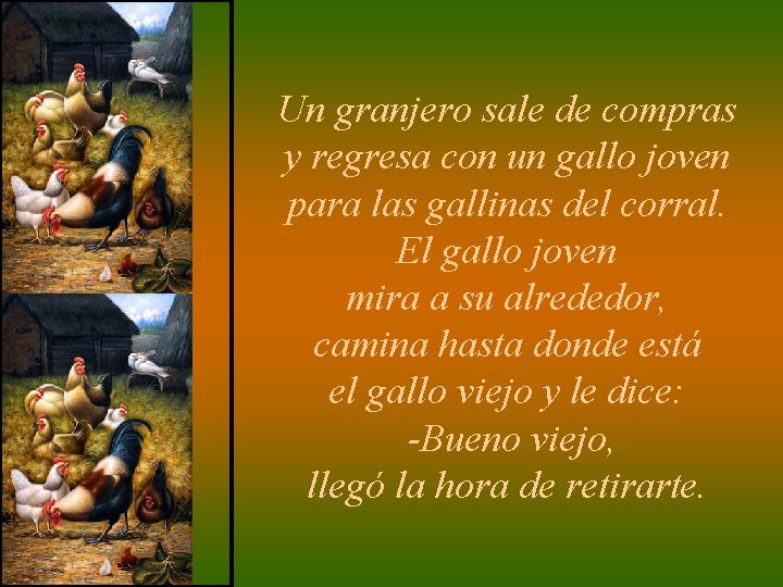 Un granjero sale de compras y regresa con un gallo joven para las gallinas