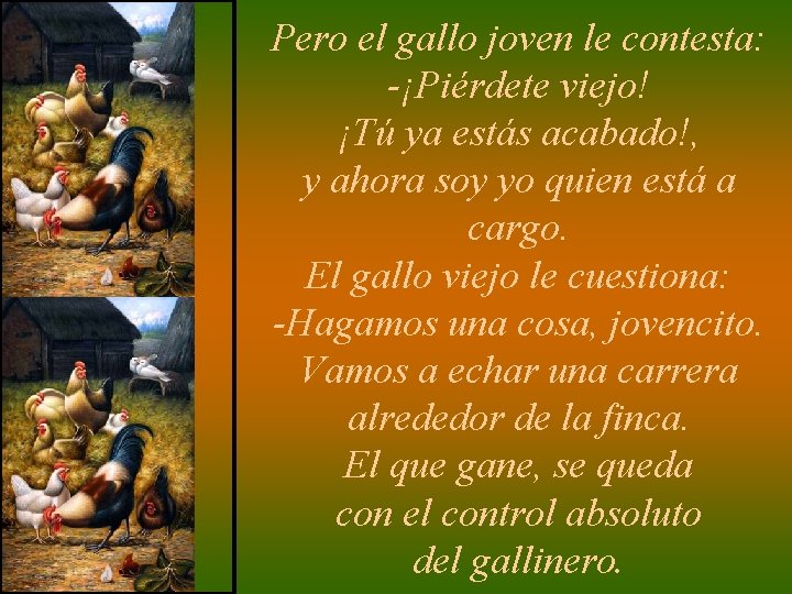 Pero el gallo joven le contesta: -¡Piérdete viejo! ¡Tú ya estás acabado!, y ahora